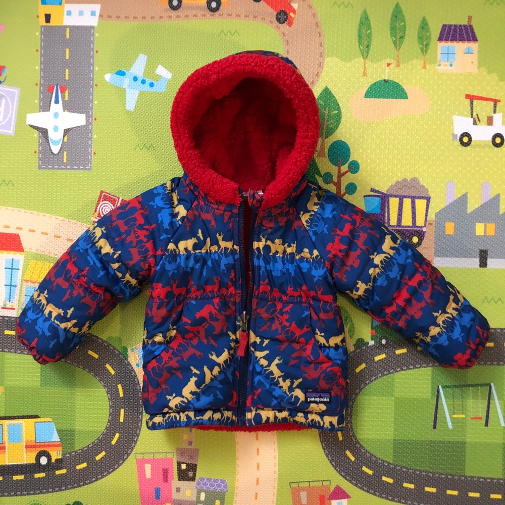 Patagonia Jacket